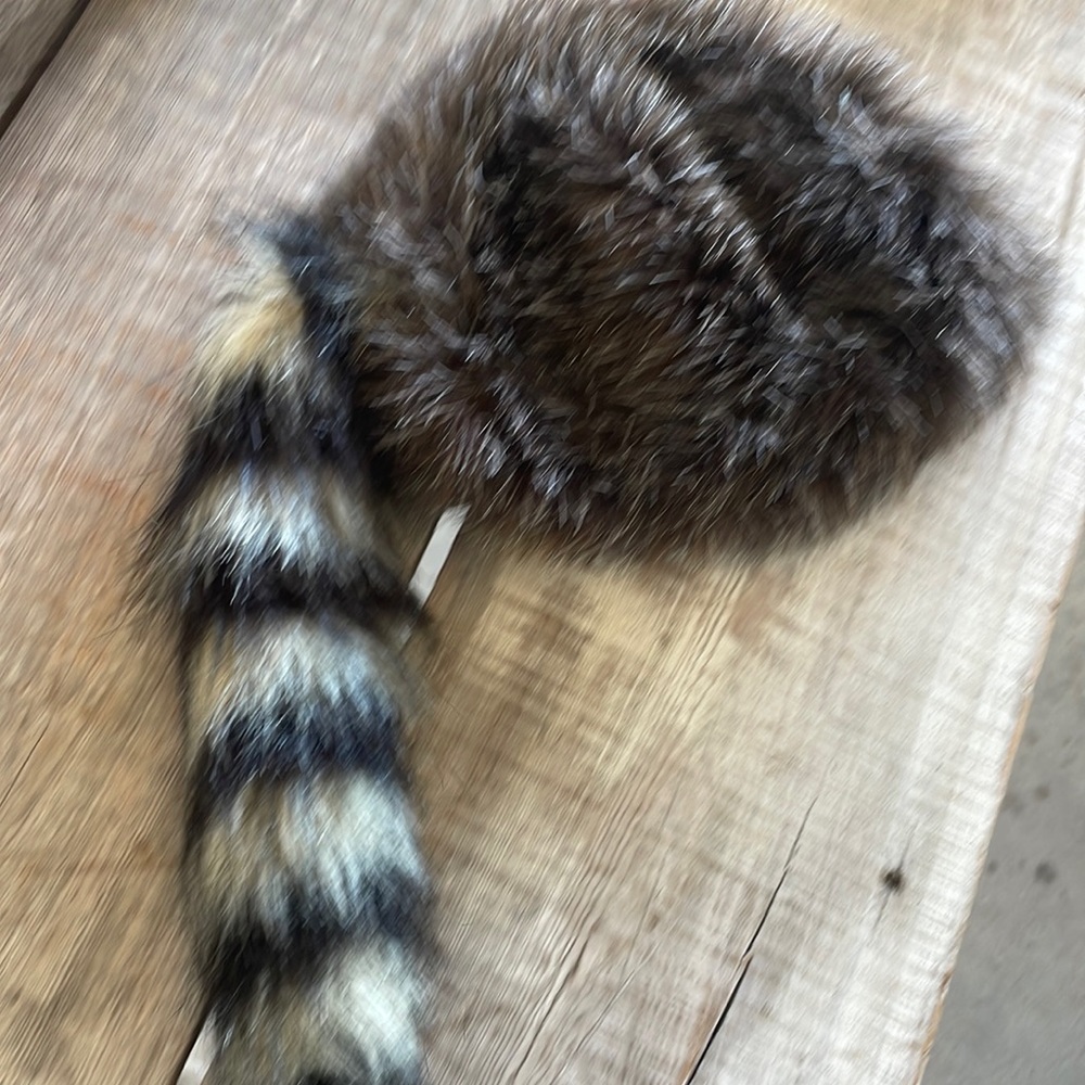 Kids, Daniel Boone / Davey Crockett hat - raccoon hat